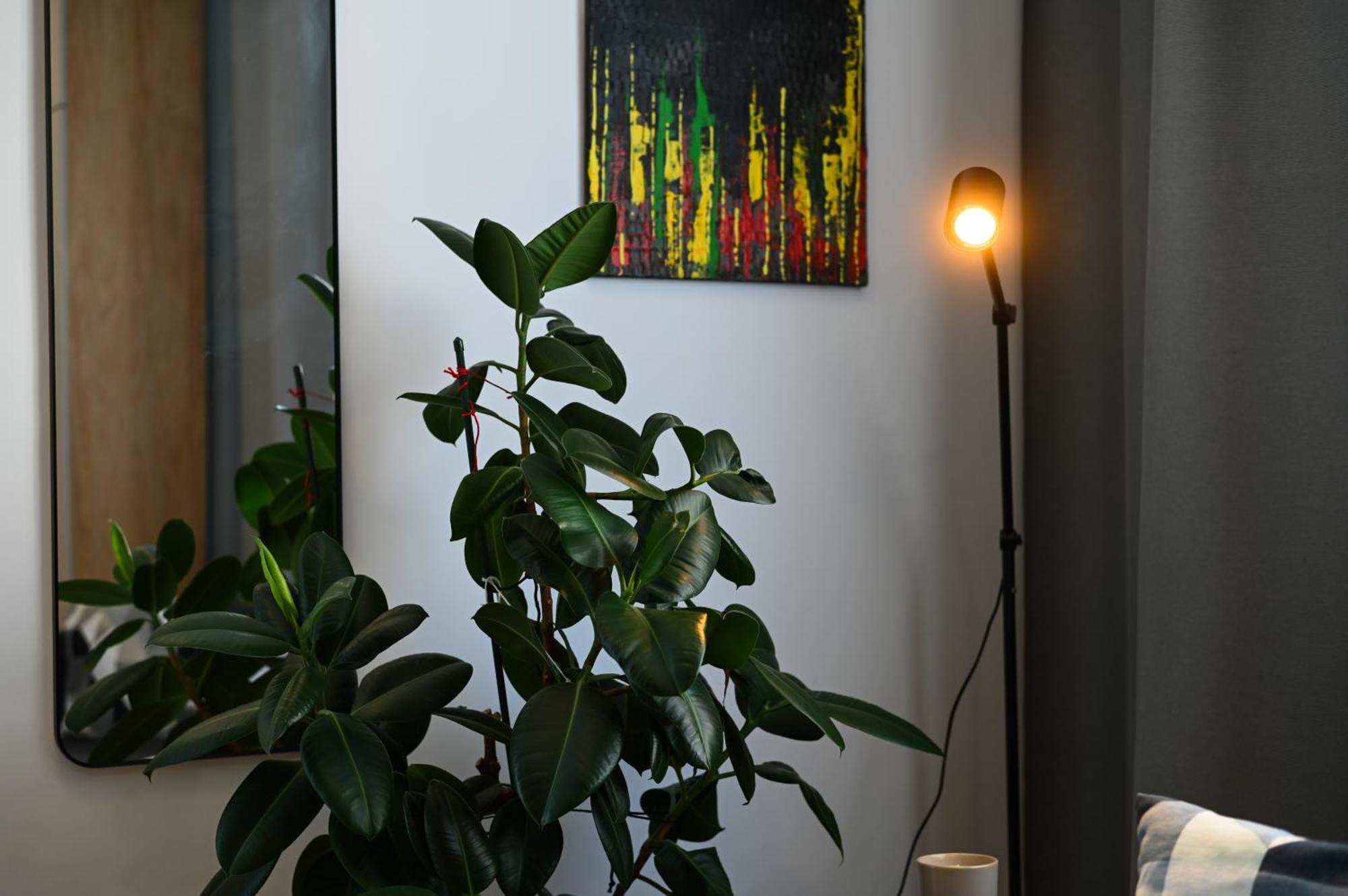 City Center Studio - Comfy & Modern Pressburg Exterior foto